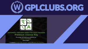 Automatic Translate Addon For Loco Translate