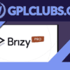 Brizy Pro