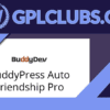 BuddyPress Auto Friendship