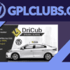 DriCub Driving School WordPress Theme