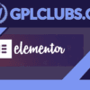 Elementor Pro