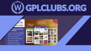 Elfsight Instagram Widget