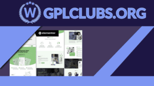 GumPay - Money Transfer & Online Payments Elementor Template Kit