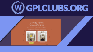 Jetsloth - Gravity Forms Image Choices