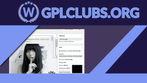 Media File Renamer Pro