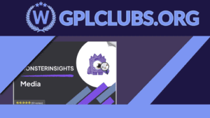 MonsterInsights - Media Addon