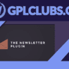 Newsletter - WP Forms Integration