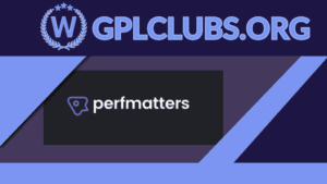 Perfmatters WordPress Plugin