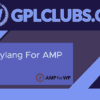 Polylang For AMP