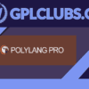Polylang Pro