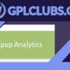 Popup Maker - Popup Analytics