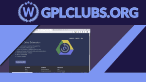 ServMask - All-in-One WP Migration Google Drive Extension