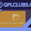 Simple Custom CSS and JS PRO