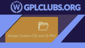 Simple Custom CSS and JS PRO