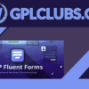 WP Fluent Forms Pro Add-On