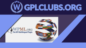 WPML String Translation Addon