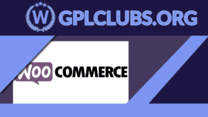 WooCommerce Conditional Product Fields at Checkout