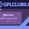 WooCommerce Name Your Price