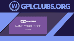 WooCommerce Name Your Price