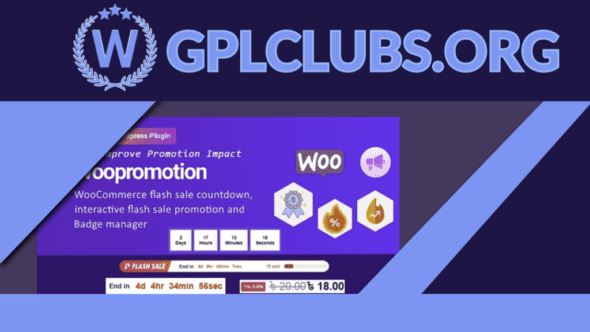 Woopromotion - WooCommerce product promotion sale countdown and Badge Manager