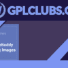 iThemes DisplayBuddy Rotating Images
